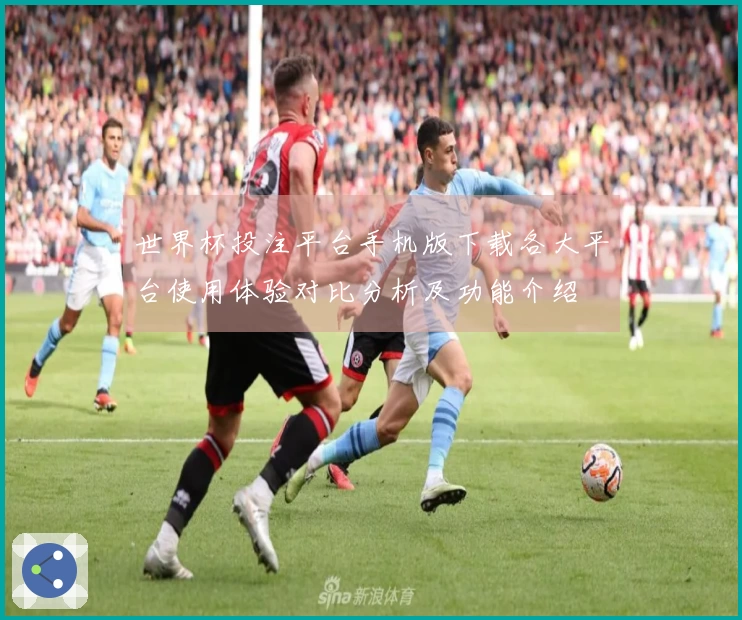 世界杯投注平台手机版下载各大平台使用体验对比分析及功能介绍